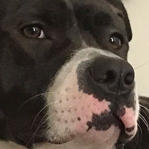 Meet your Posher, Caitlin